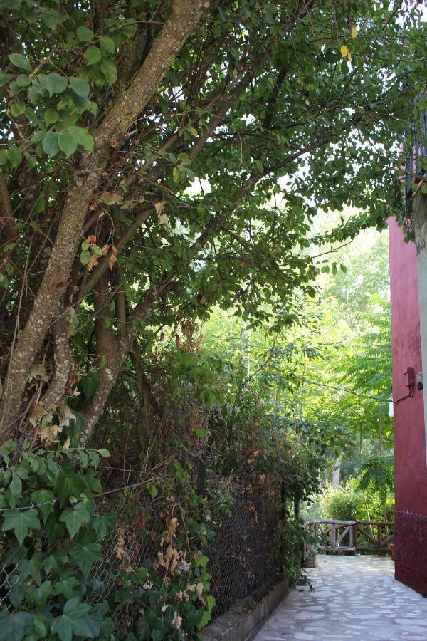 Apartamento El Balcón del Huéznar Cazalla de la Sierra Exterior foto